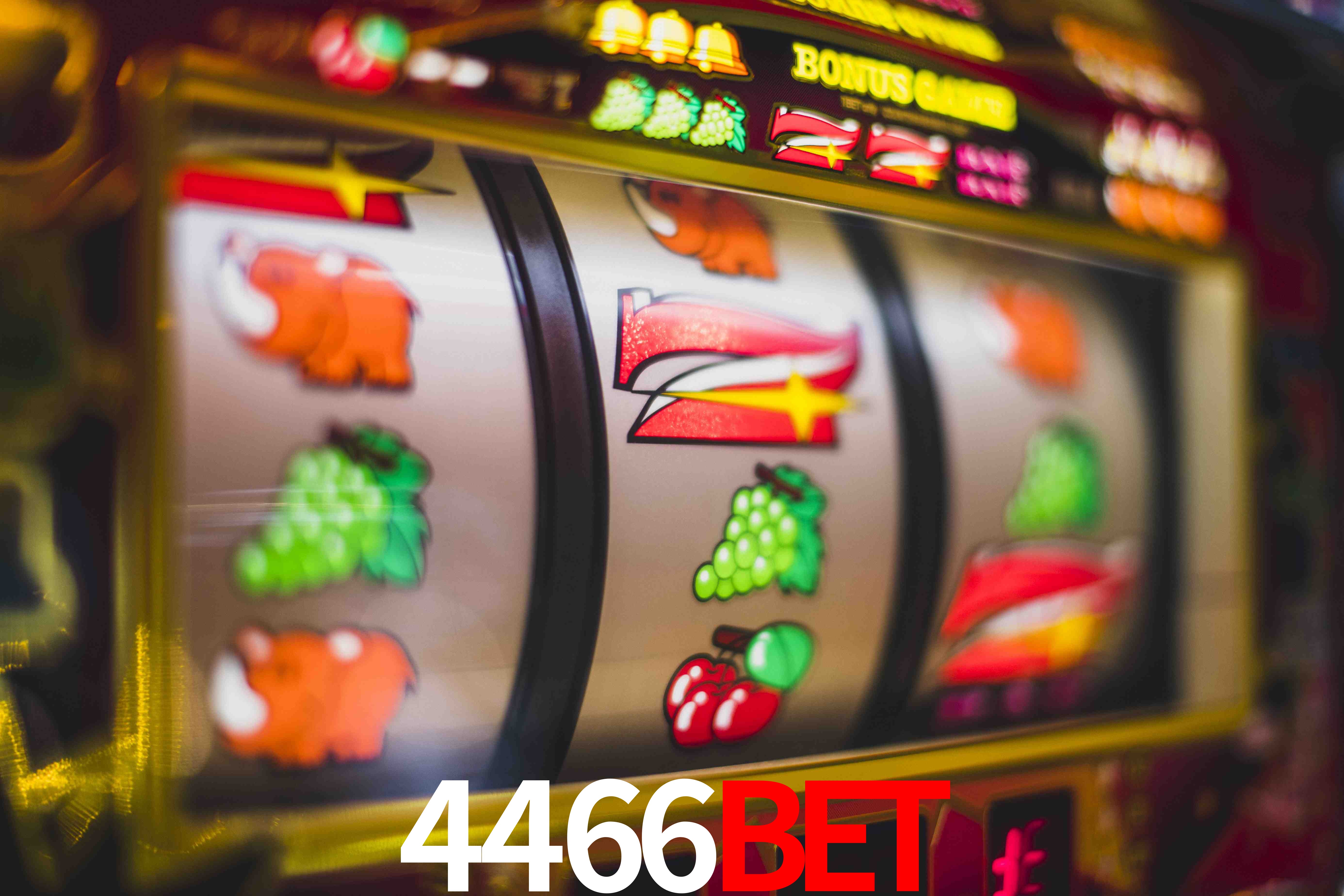 Tennis Betting 4466bet